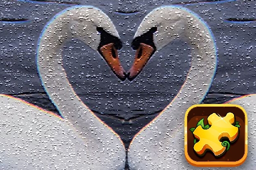 Resim Kuğu bulmaca mücadelesi